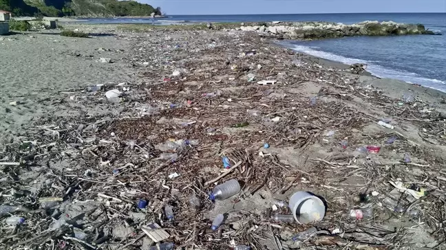 Karadeniz'deki Çöp Kirliliği Artıyor: Sigara İzmati ve Plastik Atıklar Ön Planda