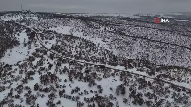 Karlı Dağları Aşarak Yaban Hayvanlarına Umut Oldular