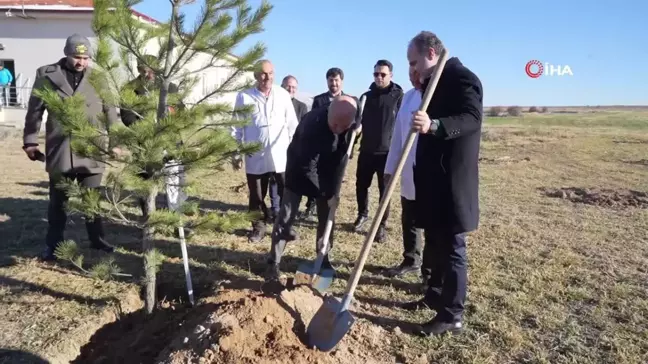 YÖK Başkanı Özvar: Anadolu Üniversitelerine Destek Sürecek