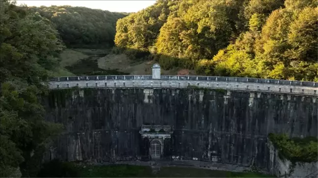 Belgrad Ormanı imara açılıyor iddiası doğru mu? DMM açıkladı