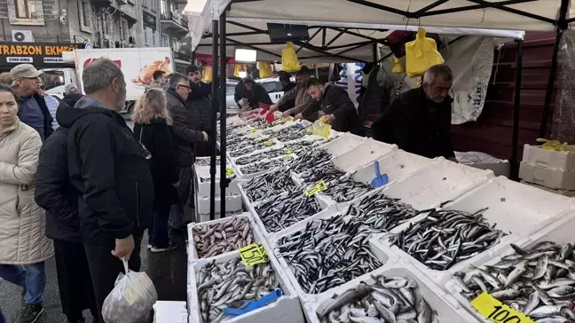 Zonguldak'ta Balık Çeşitliliği Artıyor