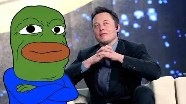 PEPE coin Musk rüzgarıyla hareketlendi! Yükseliş geçici mi kalıcı mı?