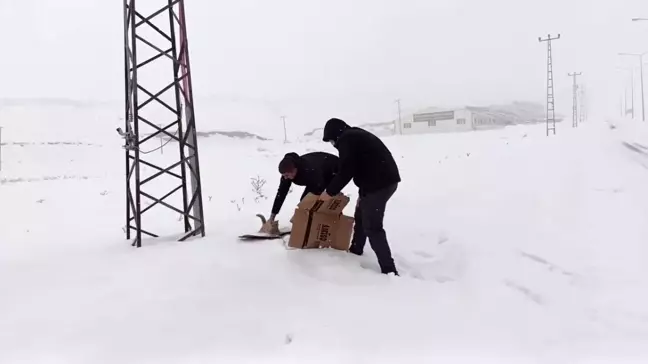 Polis Ekipleri Donmak Üzere Olan Kediyi Kurtardı