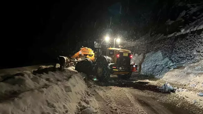 Ayder Yaylası Yolunda Çığ Felaketi: 1 Saat Trafiğe Kapalı Kaldı