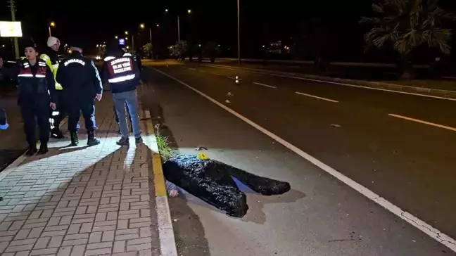 Nazilli'de Kardeşini Korurken Hayatını Kaybeden Ağabeyin Trajik Hikayesi