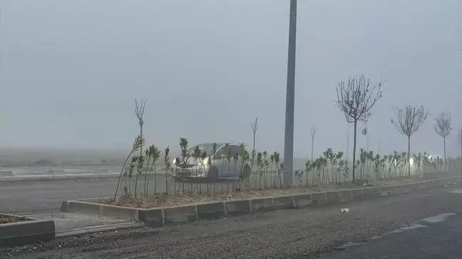 Çorlu'da Yoğun Sis Hayatı Olumsuz Etkiledi