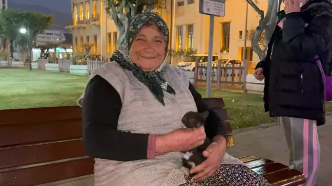 Hatay'da Soğuk Havada Yavru Kediyi Kurtaran Kadının Hikayesi