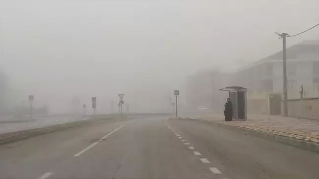 İnegöl'de Yoğun Sis Trafiği Olumsuz Etkiledi