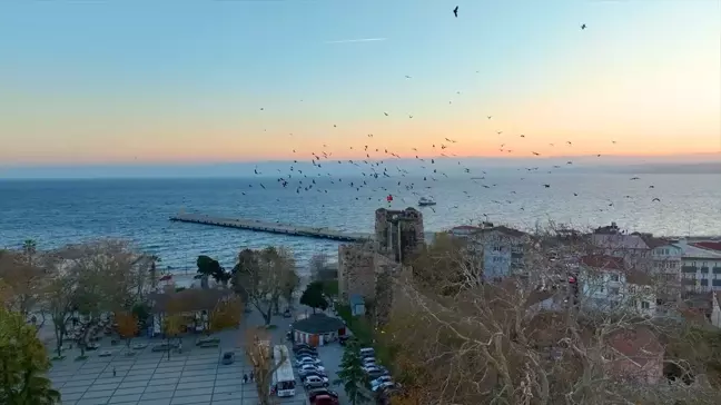 Sinop Kent Meydanı Millet Bahçesi Projesi Tamamlandı