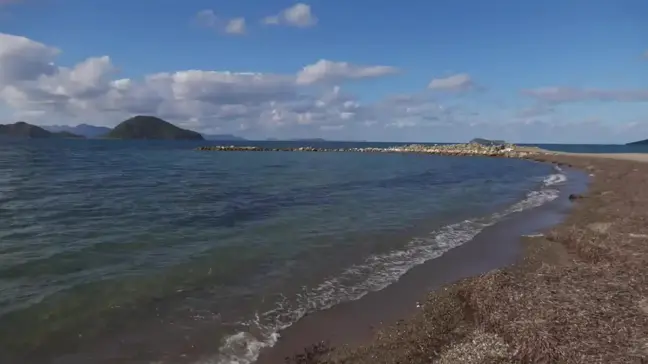 Turgutreis Sahil Güvenlik Limanı Projesine Tepkiler Devam Ediyor