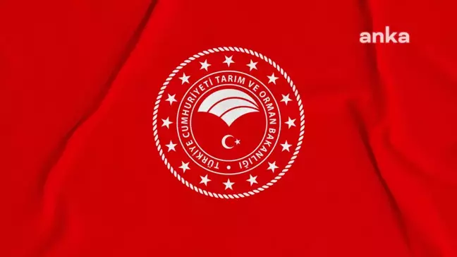 Tarım Bakanlığı'ndan Temel Gıda Fiyatlarına Denetim Uyarısı