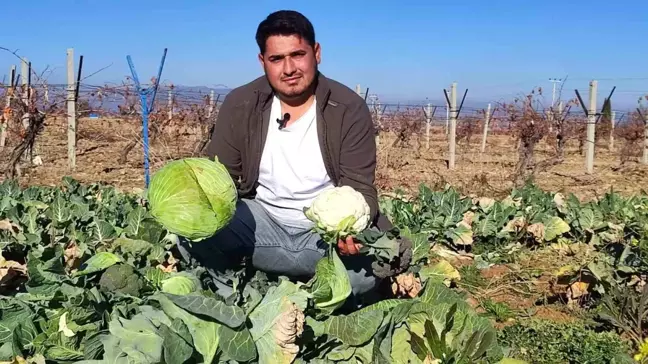 23 Yaşındaki Ziraat Mühendisi İlk Kez Kış Sebzeleri Yetiştiriyor