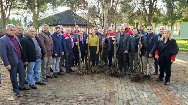 Nazilli'de 8 Bin 200 Sertifikalı Kestane Fidanı Dağıtıldı