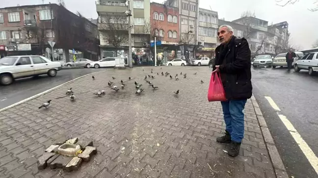 Kahramanmaraş'ta Deprem Sonrası Güvercinlere Destek