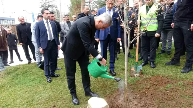 Sağlık Bakanı Memişoğlu'ndan Bilecik'te Çınar Fidanı Dikimi