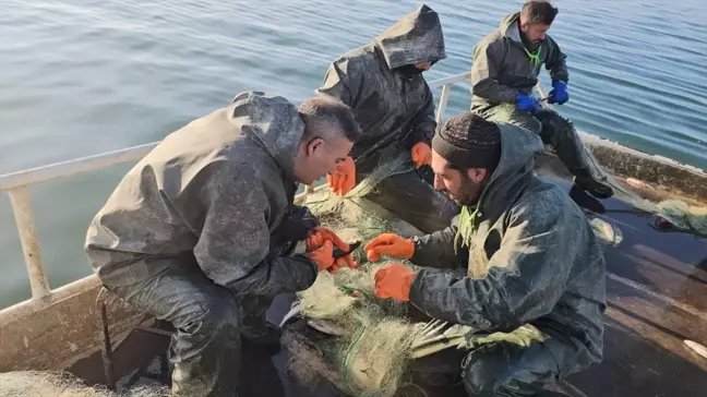 Van'da Balıkçılar Kışın Gölde Balık Avlıyor