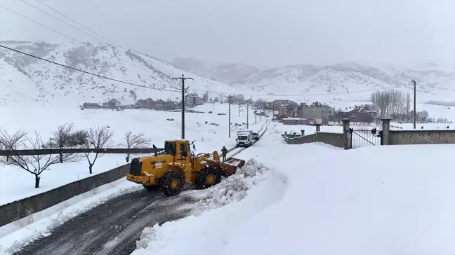 Van ve Bitlis'te Karla Mücadele Çalışmaları Sürüyor