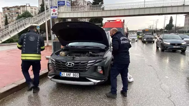 Kocaeli'de Yavru Kedi İtfaiye Ekiplerince Kurtarıldı