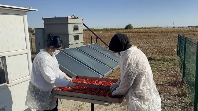 Şanlıurfa'da Güneş Enerjisiyle Biber Kurutma Makinesi Üretildi