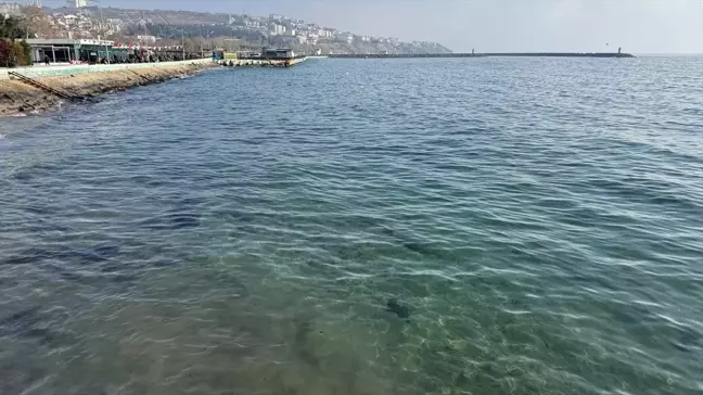 Tekirdağ'da Poyraz Sona Erdi, Deniz Ulaşımı Normale Döndü