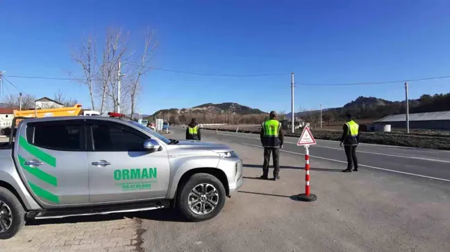 Bolu'da Kaçak Orman Emvali Denetimleri Yapıldı