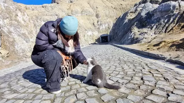 Iğdır Tuz Mağaraları'nın Maskotu: 'Duman' adlı Kedi