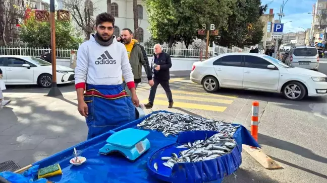 Tekirdağ'da Hamsi ve İstavrit Fiyatları 100 TL