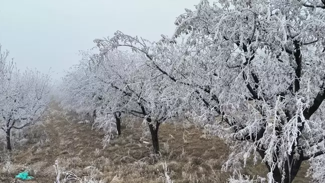 Malatya'nın Doğanşehir İlçesinde Kırağı Manzarası