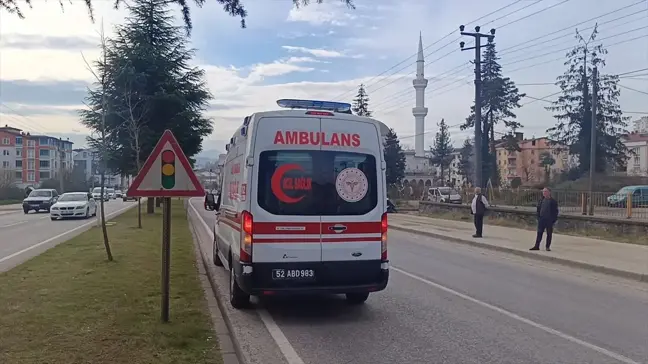 Ordu'da Trafik Kazası: 3 Yaralı