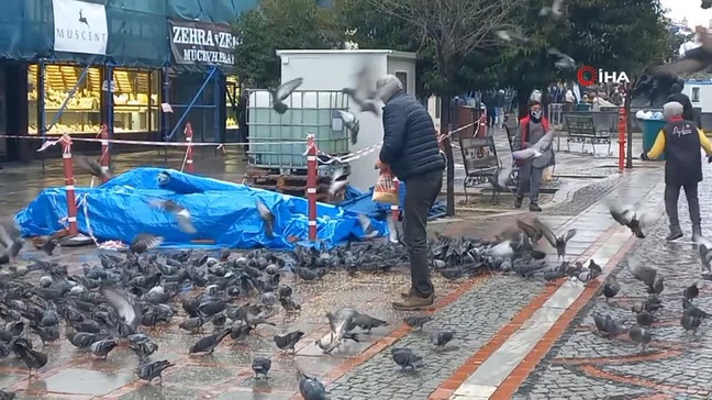Soğuk Hava, Sokak Hayvanlarını Zora Soktu