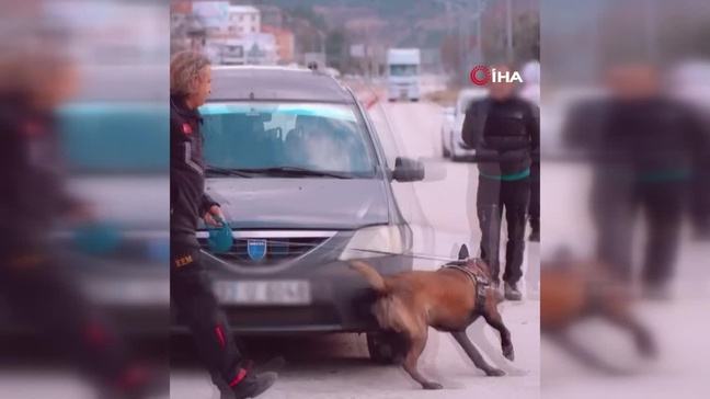 Isparta'nın Narkotik Kahramanı Milon Üçüncü Defa 'Ayın Köpeği' Seçildi
