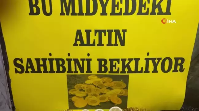 Karabük'te Midyeden Altın Çıktı: Üniversite Öğrencisi Kazandı