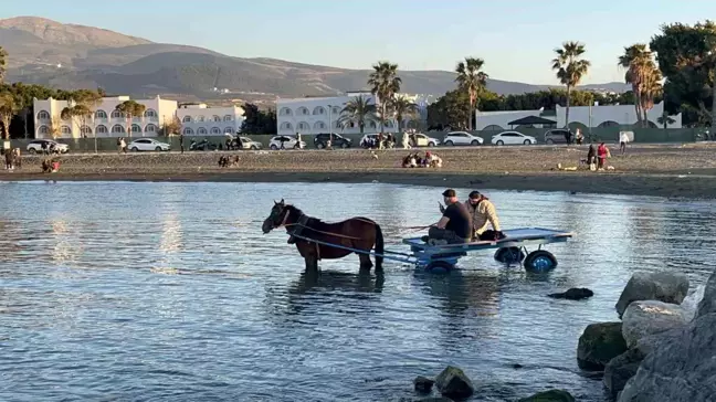 Hatay'da At Arabasıyla Denize Giren İki Arkadaşın Keyfi