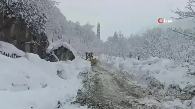 Doğu Karadeniz'de 338 Köy Yolu Kar Nedeniyle Kapandı