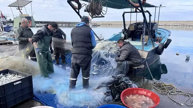 Zonguldak'ta Balıkçılar 2 Ton Lüfer Avladı