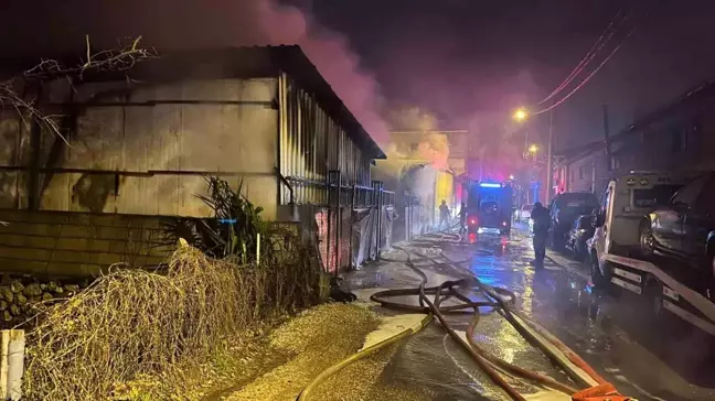 Bursa'da Oto Galeride Yangın: 10 Araç Kül Oldu