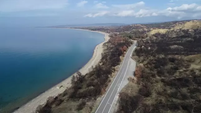 Tarihi Gelibolu Yarımadası'nda orman yangınları için 