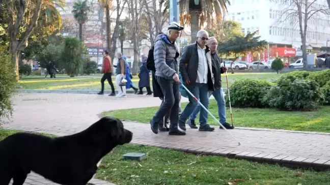 Samsun'daki Görme Engelli Bireylerin Sokak Sorunları