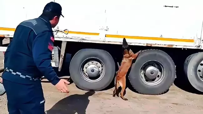 Kırıkkale'de Kaçak Tütün Operasyonu: 1 Ton Tütün ve 909 Paket Sigara Ele Geçirildi