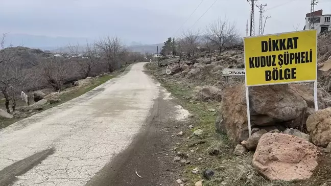 Şanlıurfa'da Sahipsiz Köpeğin Kadına Saldırısı Güvenlik Kameralarında