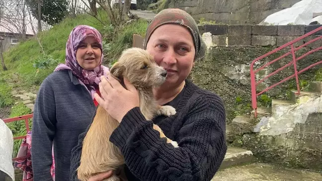 Zonguldak'ta Terk Edilen Köpek Yavrusu Sahiplendirildi