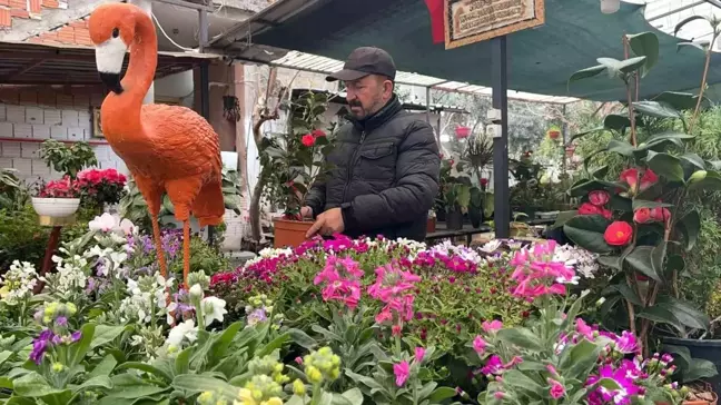 Ağabeyinin Hatırasını Yaşatmak için Botanik Kafe Açtı