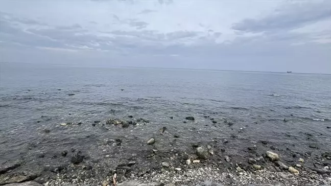 İskenderun ve Arsuz'da Deniz Suyunun Çekilmesi Normal Bir Durum