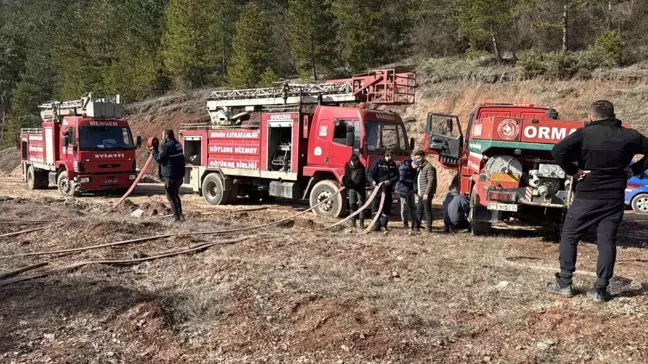 Bolu'daki Orman Yangını Kontrol Altına Alındı