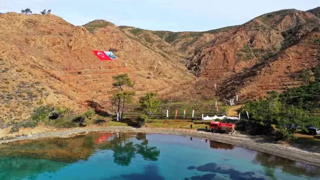 Marmaris'te Orman Yangınından Sonra Yeniden Ağaçlandırma Çalışmaları Başlatıldı