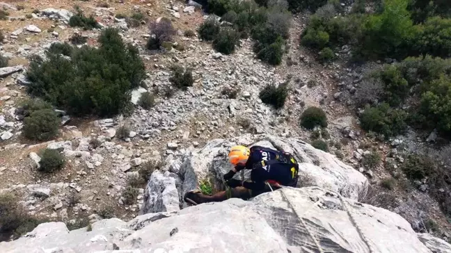 Burdur'da Mahsur Kalan Keçiler AFAD Ekipleri Tarafından Kurtarıldı