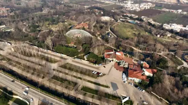 Bursa Hayvanat Bahçesi'nde Boz Ayılar Kış Uykusunu Unuttu