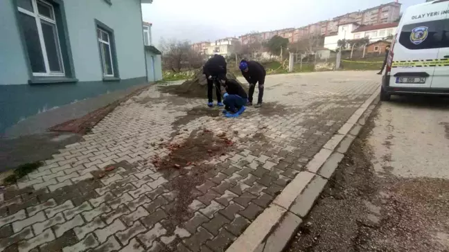 Bandırma'da Silahlı Saldırı: Murat Kamallı Hayatını Kaybetti