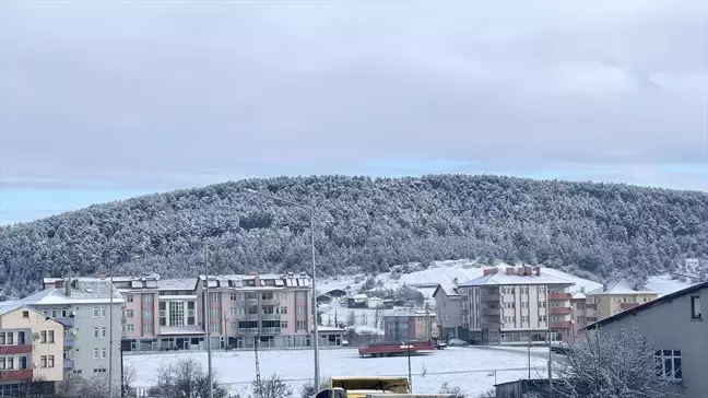 Karabük ve Bolu'da Kar Yağışı Etkili Oluyor