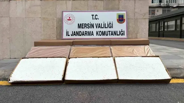 Mersin'de 84 Bin Dolu Makaron Ele Geçirildi